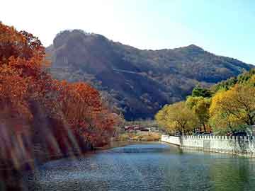 新澳天天开奖资料大全旅游团，最最最言情